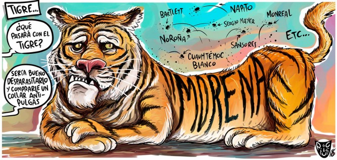 Tigre pulguiento.