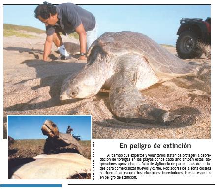 En peligro de extincin