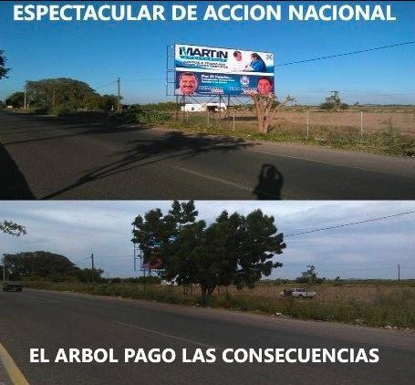 El rbol pag las consecuencias de la propaganda panista.