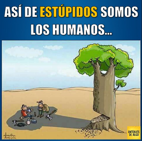 As de estpidos somos los humanos.