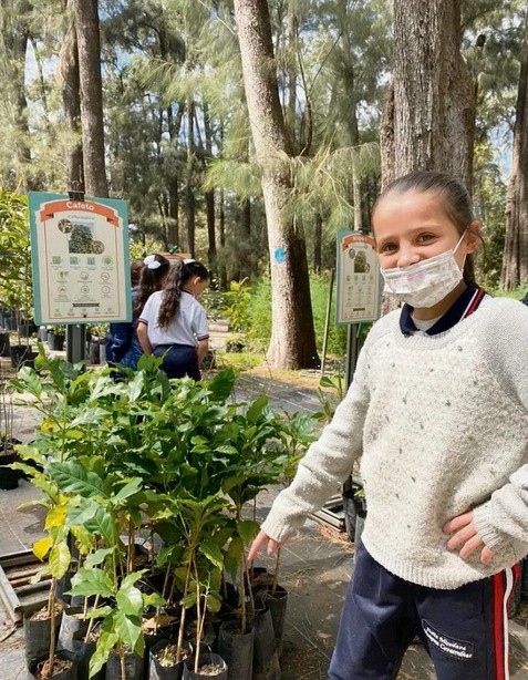 Los rboles se producen y dan en adopcin en el vivero.