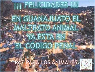¡Felicidades Guanajuato!