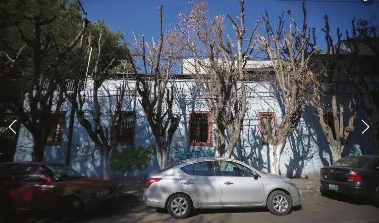 Ficus alzados en el cruce de Justo Sierra y Jos Clemente Orozco.