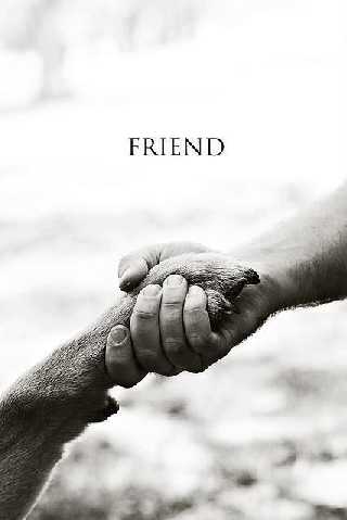 Friend