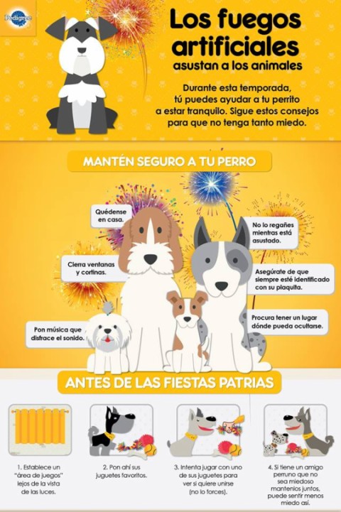 Cuidado de los perros ante los fuegos artificiales.