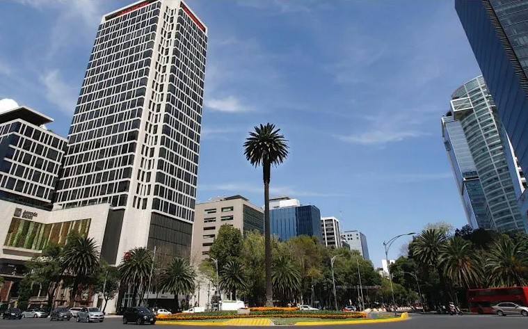 Este domingo se retirara la emblemtica palmera, que lleva ms de 100 aos adornando la glorieta.