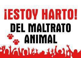 Estoy harto del maltrato a los animales.