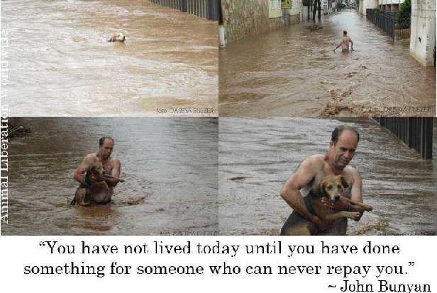 You have not lived until...