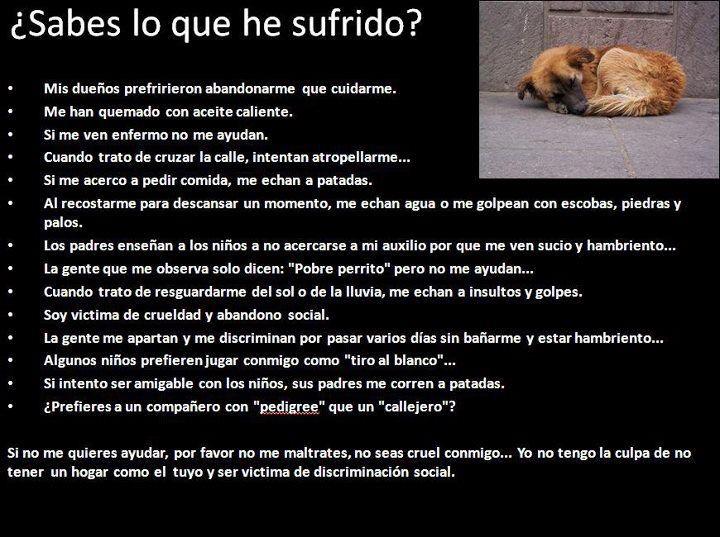 ¿Sabes lo que he sufrido?