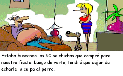 Dejar de echarle la culpa al perro.