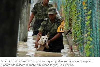 También a los peluditos se les incluye en el plan DN-3.