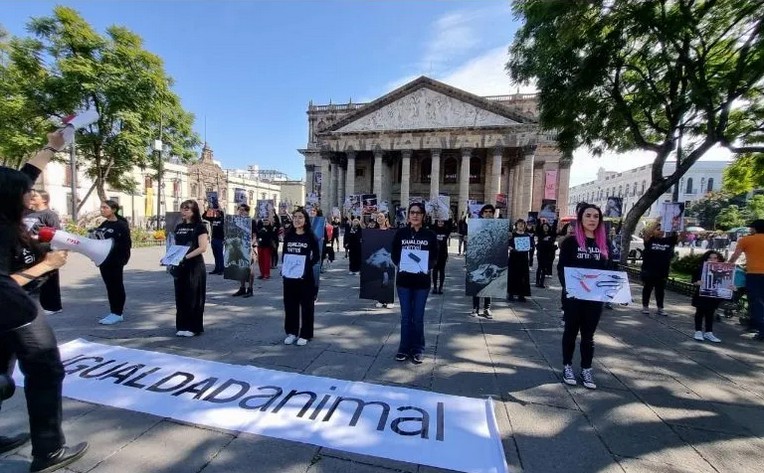 Personas se manifestaron en el Centro Histórico de Guadalajara para pedir por la proteccción de los animales.