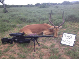 Impala muerto a 980 yardas con un rifle de Tracking Point.