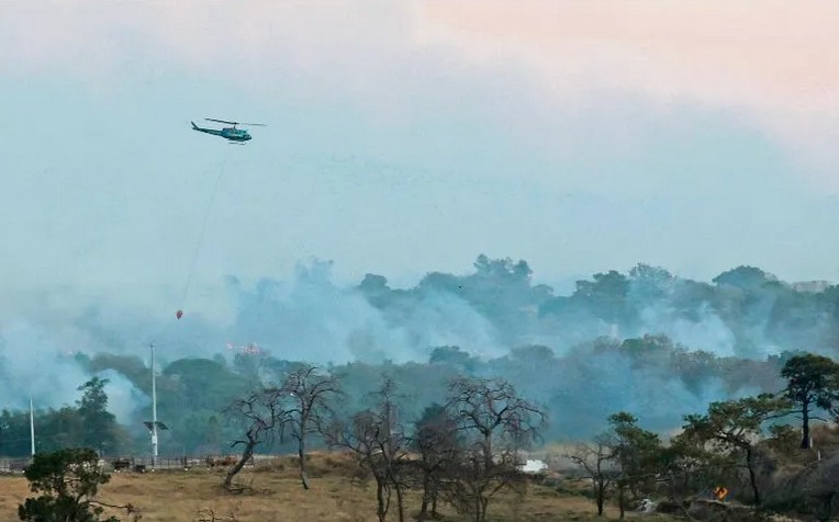 Incendio devora bosque La Primavera.