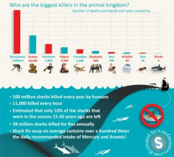 Los mayores animales matahumanos.
