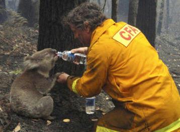 Dentro de los problemas, solidaridad con un hermanito en desgracia.