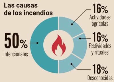 Las causas de los incendios.