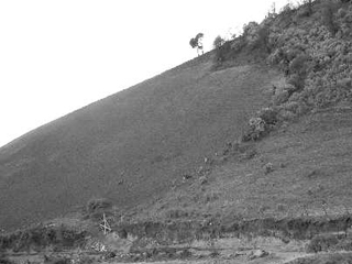 Ladera casi totalmente talada en la zona de San Miguel Xometla.