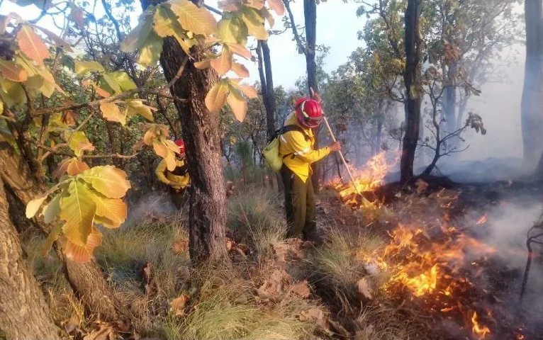 El ltimo incendio se liquid a las 16:00 horas y con una afectacin de 1.27 hectreas de hojarasca.