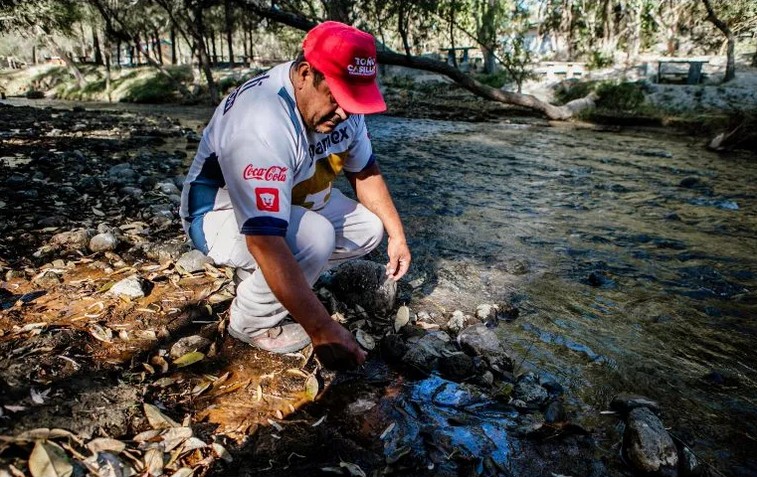 Francisco, velador del balneario, dice que el ro tena mojarras que murieron por la contaminacin.