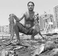 Peces muertos en playa libanesa - El Informador 7/Ago/2006