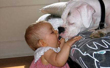 Bebé conviviendo con perro.