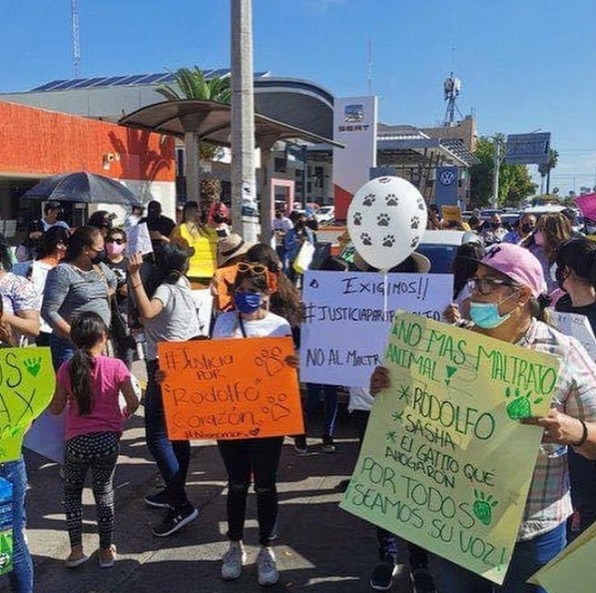 Manifestación en Los Mochis.