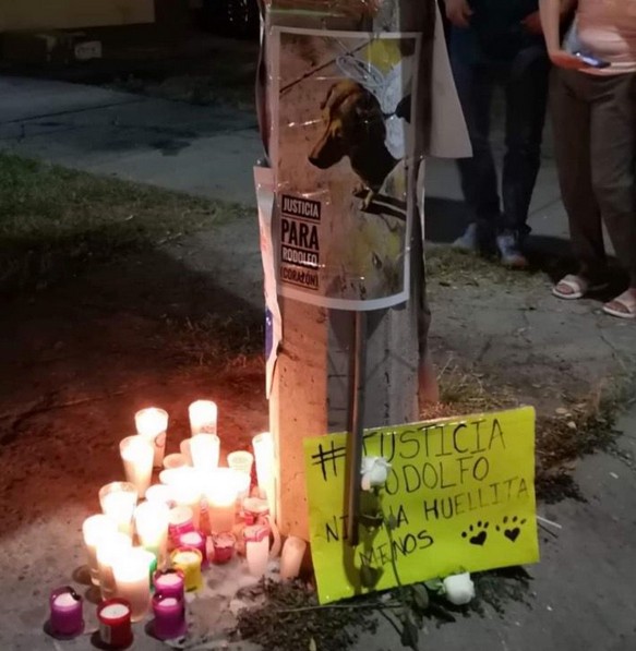 Manifestación en Los Mochis.