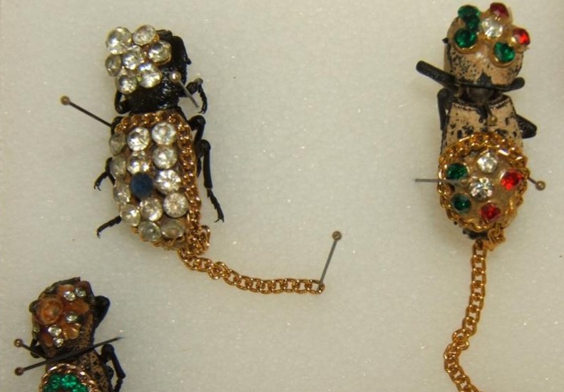 Escarabajos vivos utilizados como joya.