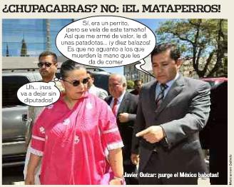 El priista mataperros.