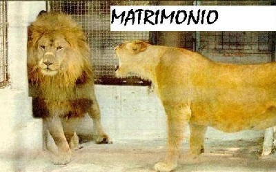 Matrimonio