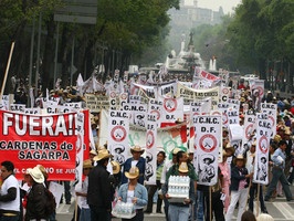 Megamarcha en el D.F.