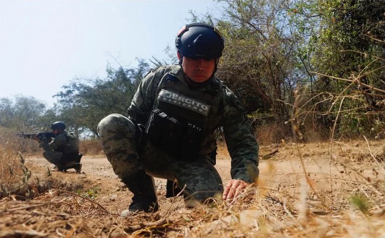 Buscando minas antipersonales.