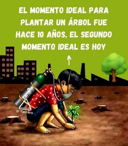 El momento ideal para plantar un rbol.