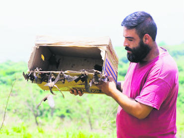 Liberación de murciélagos en Tlajomulco.