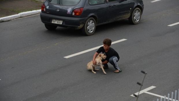 Salvando a su mascota.