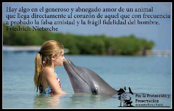 Amor de animal.