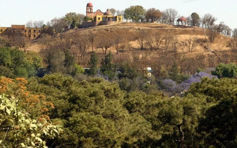 El bosque del Nixticuil fue declarado rea natural protegida en 2008.