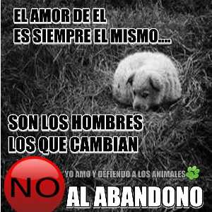 No al abandono.