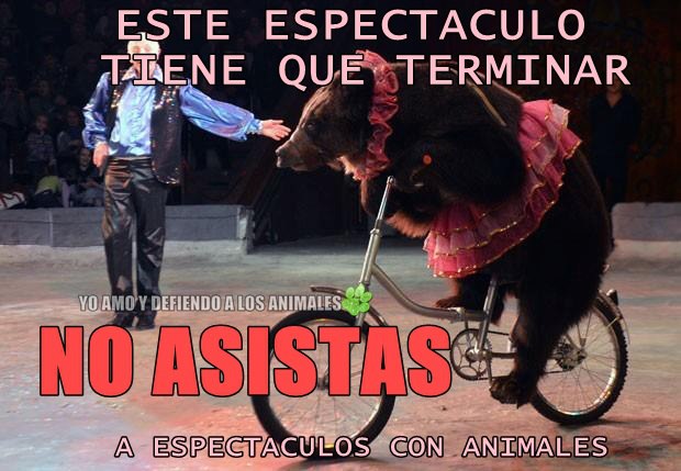 No asistas a espectáculos con animales.