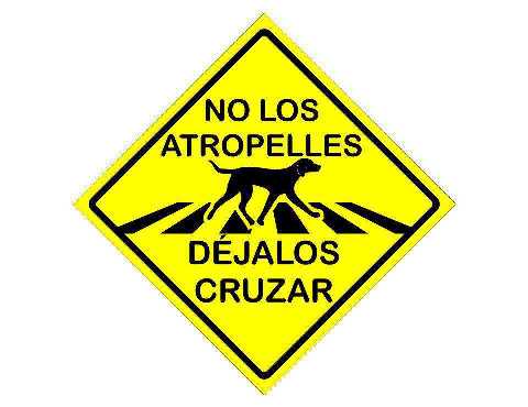 No los atropelles, déjalos cruzar.