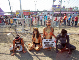 Protesta en Guadalajara.