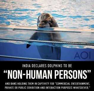 Personas no humanas.