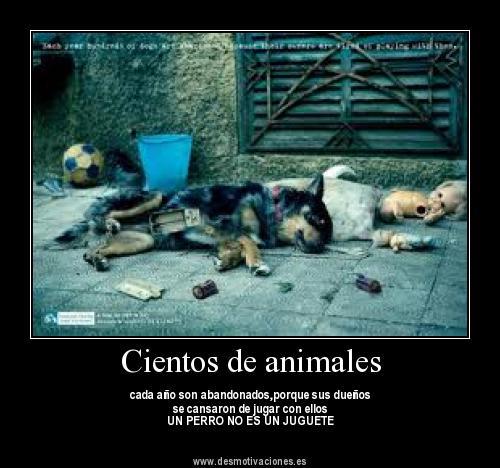 Los animalitos no son juguetes... no se pueden apagar.