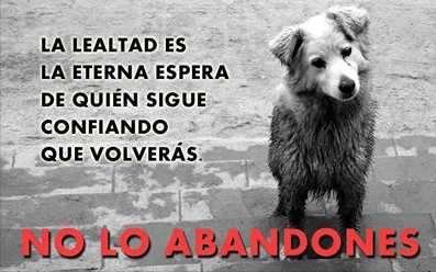 No lo abandones.