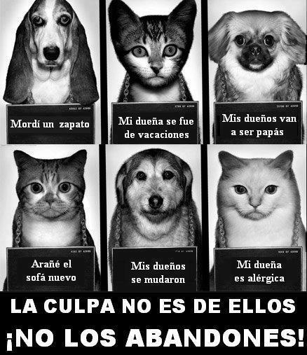 No los abandones.