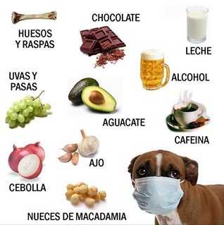 Alimentos prohibidos.