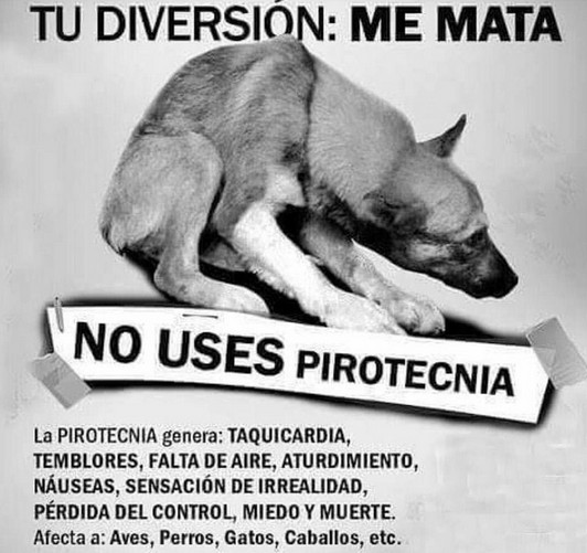 No uses pirotecnia.