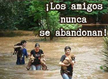 Los amigos nunca se abandonan.