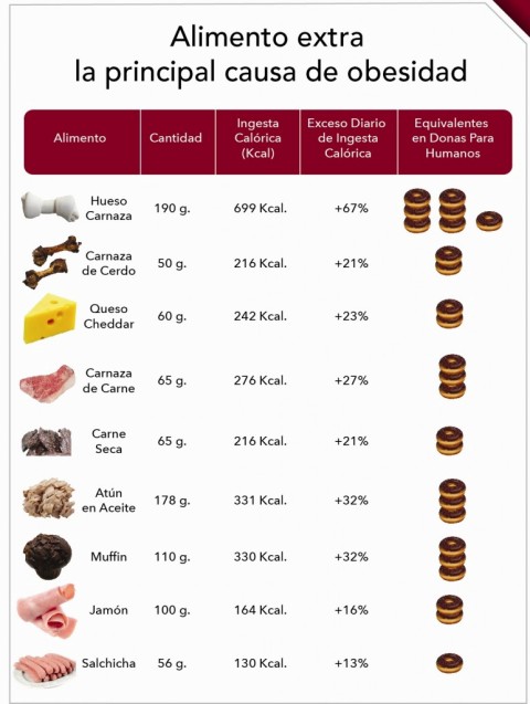 Obesidad en perros.